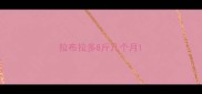 拉布拉多8斤几个月