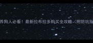 阜阳养狗人必看最新拉布拉多购买全攻略附防坑指南