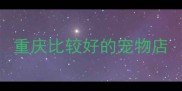 重庆比较好的宠物店