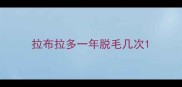 拉布拉多一年脱毛几次