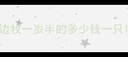 边牧一岁半的多少钱一只