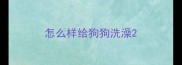 怎么样给狗狗洗澡