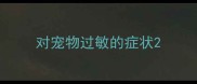 对宠物过敏的症状