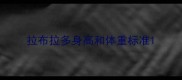 拉布拉多身高和体重标准