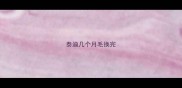 泰迪几个月毛换完