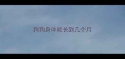 狗狗身体能长到几个月