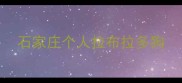 石家庄个人拉布拉多狗