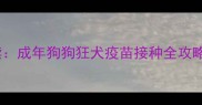 宠物健康必读成年狗狗狂犬疫苗接种全攻略及注意事项