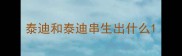 泰迪和泰迪串生出什么