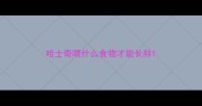 哈士奇喂什么食物才能长胖