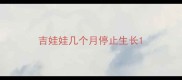 吉娃娃几个月停止生长