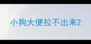 小狗大便拉不出来