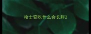 哈士奇吃什么会长胖