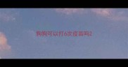 狗狗可以打6次疫苗吗