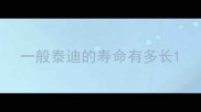 一般泰迪的寿命有多长