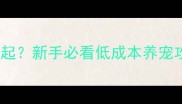 哈士奇1000预算养不起新手必看低成本养宠攻略附避坑指南