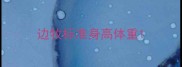 边牧标准身高体重