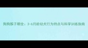 狗狗猴子期全3-6月龄幼犬行为特点与科学训练指南