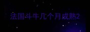 法国斗牛几个月成熟