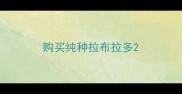 购买纯种拉布拉多
