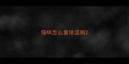 猫咪怎么量体温啊