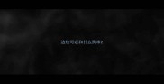 边牧可以和什么狗串
