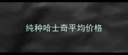 纯种哈士奇平均价格
