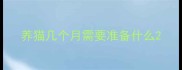 养猫几个月需要准备什么