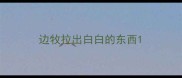边牧拉出白白的东西