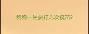 狗狗一生要打几次疫苗