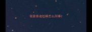 我家泰迪拉稀怎么回事