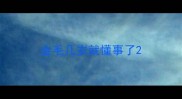 金毛几岁就懂事了