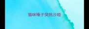 猫咪嗓子突然沙哑