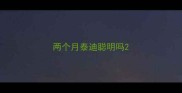 两个月泰迪聪明吗