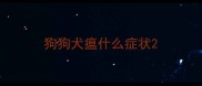 狗狗犬瘟什么症状