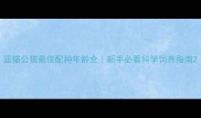蓝猫公猫最佳配种年龄全新手必看科学饲养指南