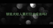 银狐犬咬人要打狂犬疫苗吗