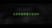 北京养猫需要打疫苗吗