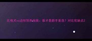 比格犬vs边牧饲养指南谁才是新手首选对比优缺点