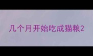几个月开始吃成猫粮