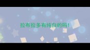 拉布拉多有纯白的吗