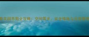 哈士奇花园养狗全攻略空间需求安全措施与日常管理指南
