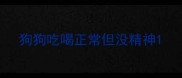 狗狗吃喝正常但没精神