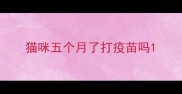 猫咪五个月了打疫苗吗