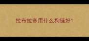 拉布拉多用什么狗链好