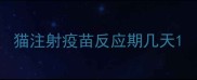 猫注射疫苗反应期几天
