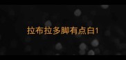 拉布拉多脚有点白