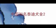 中国知名泰迪犬舍