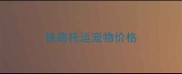 铁路托运宠物价格