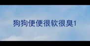 狗狗便便很软很臭